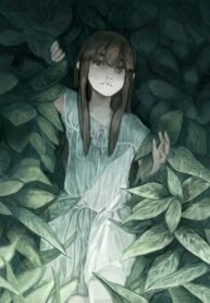 3567